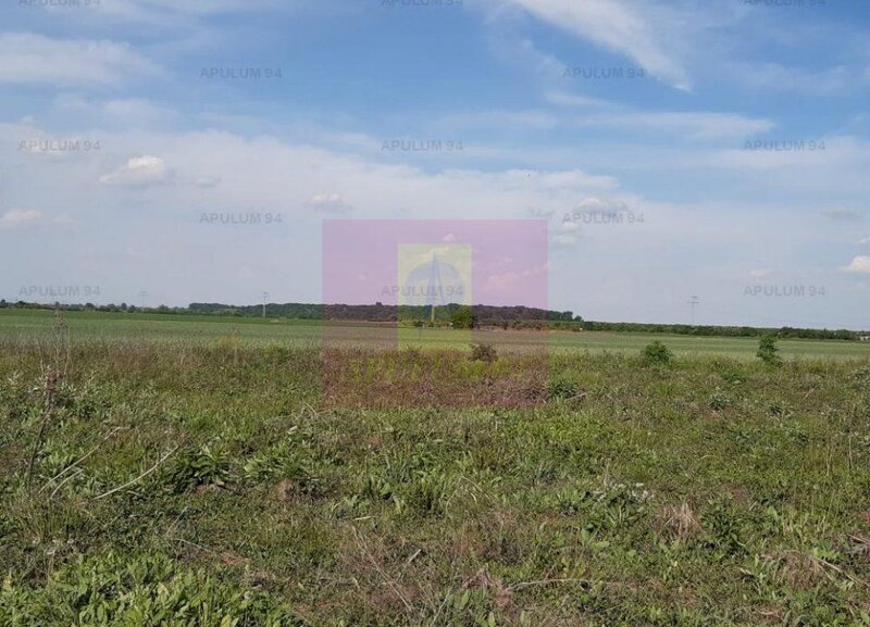Teren aproape de Bucuresti langa padure