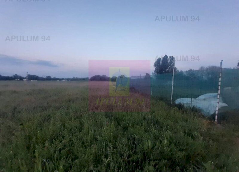 Teren aproape de Bucuresti langa padure