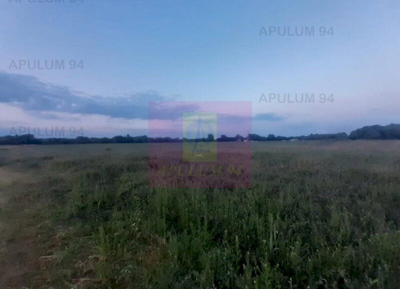 Teren aproape de Bucuresti langa padure