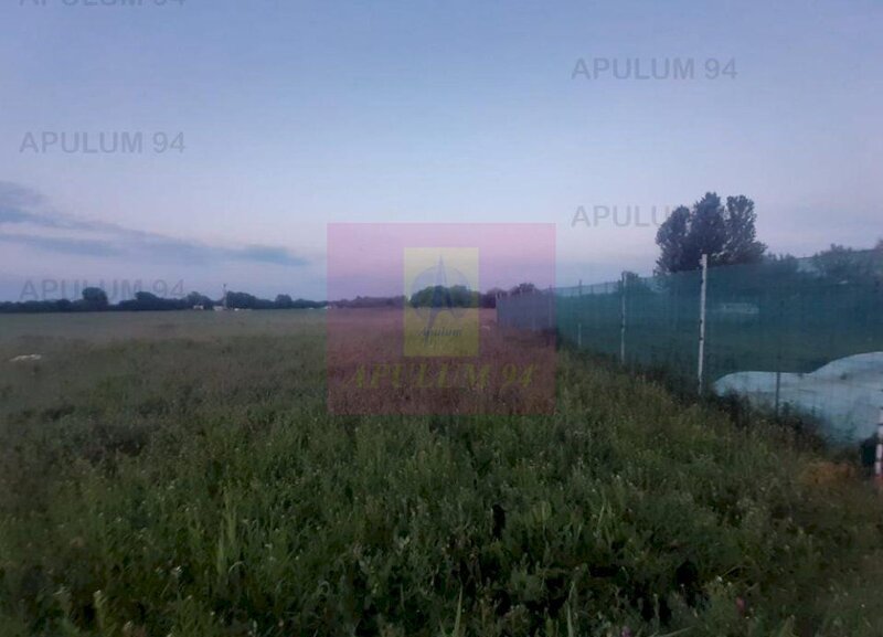 Teren aproape de Bucuresti langa padure